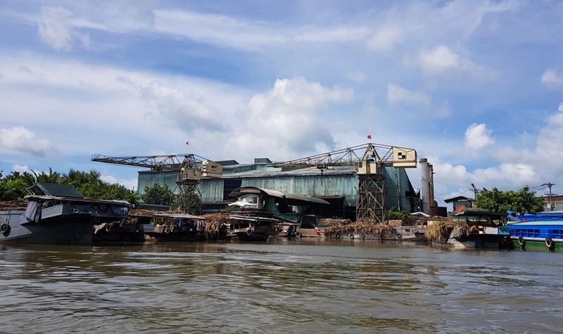 Doanh nghiệp gây ô nhiễm sông Hậu Giang bị phạt hơn 700 triệu đồng ảnh 1