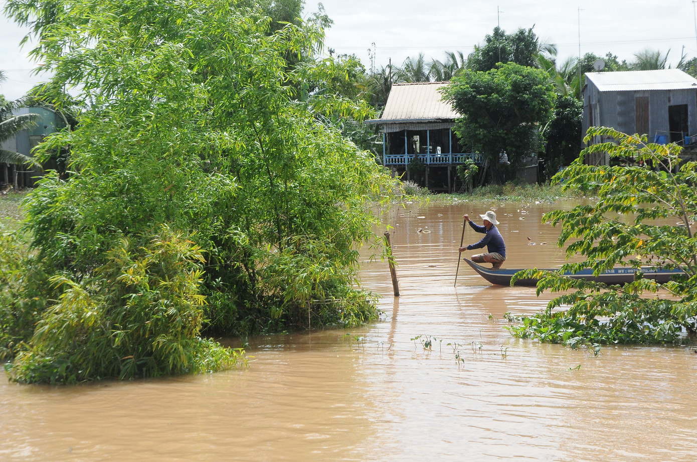Mưu sinh mùa nước nổi miền Tây ảnh 17