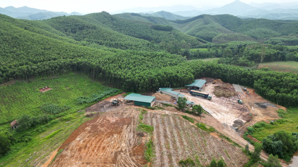 Ảnh minh họa. Ảnh minh họa.