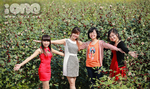 Rất nhiều bạn trẻ đã khám phá ra địa điểm pose hình tuyệt vời này và lên Lệ Chi (Gia Lâm, Hà Nội) trải nghiệm