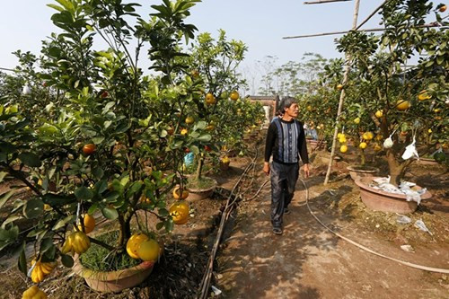 Tuyệt chiêu kinh doanh hốt bạc của đại gia Việt chơi ngông - Hình 2 Tuyet chieu kinh doanh hot bac cua dai gia Viet choi ngong-Hinh-2