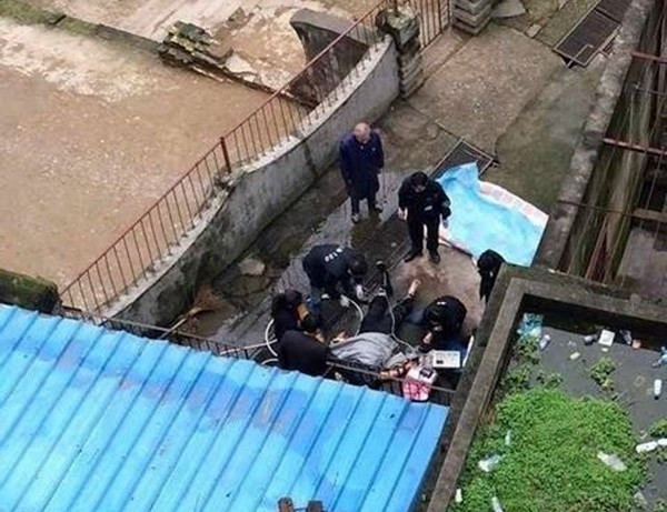 Tranh cãi sau vụ hổ vồ chết người tại vườn thú ở Trung Quốc ảnh 1