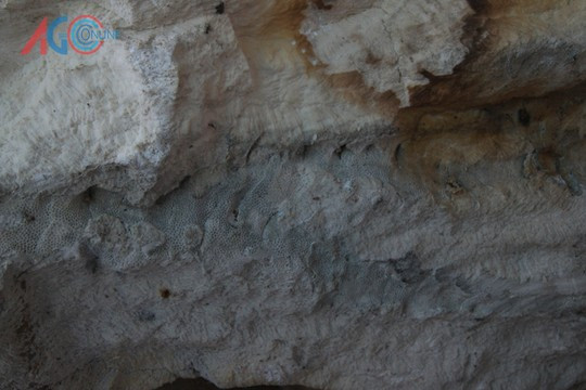 Lạ kỳ hòn đá tỏa mùi thơm của lão nông An Giang ảnh 2