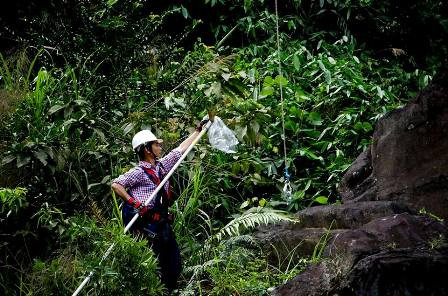 Đánh đu giữa lưng chừng trời - công việc độc đáo nhất thế giới