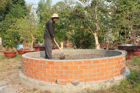 Vườn kiểng độc, chủ nhân, cặp khế, 7 tỷ đồng