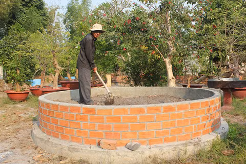 Vườn kiểng độc, chủ nhân, cặp khế, 7 tỷ đồng