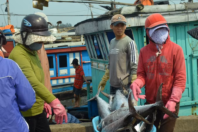 Trở lại bãi ngang sau mùa 'biển chết' ảnh 1