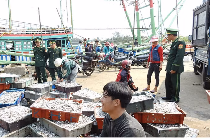 Kỳ thú chuyện biển của lão ngư ảnh 1