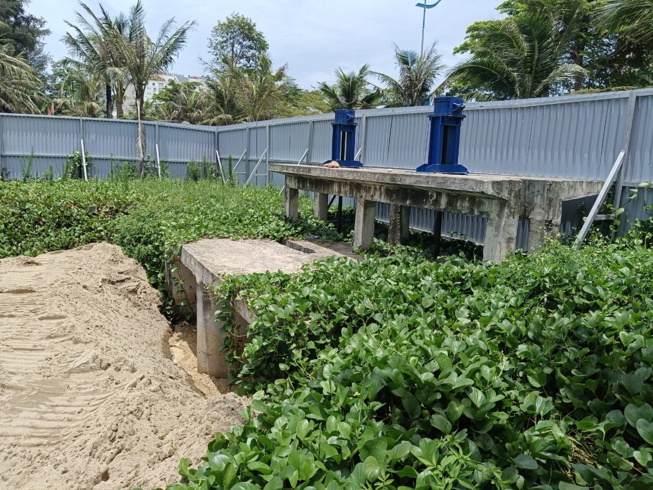 Cơ quan chức năng đã lấp các cống thu gom nước mưa Cơ quan chức năng đã lấp các cống thu gom nước mưa