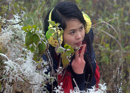 ... trong cái lạnh dưới 0 độ C. ... trong cái lạnh dưới 0 độ C