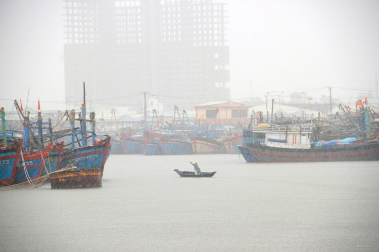 Mặc trời mưa, nhiều chủ tàu vẫn ra kiểm tra lại tàu khu vực neo đậu