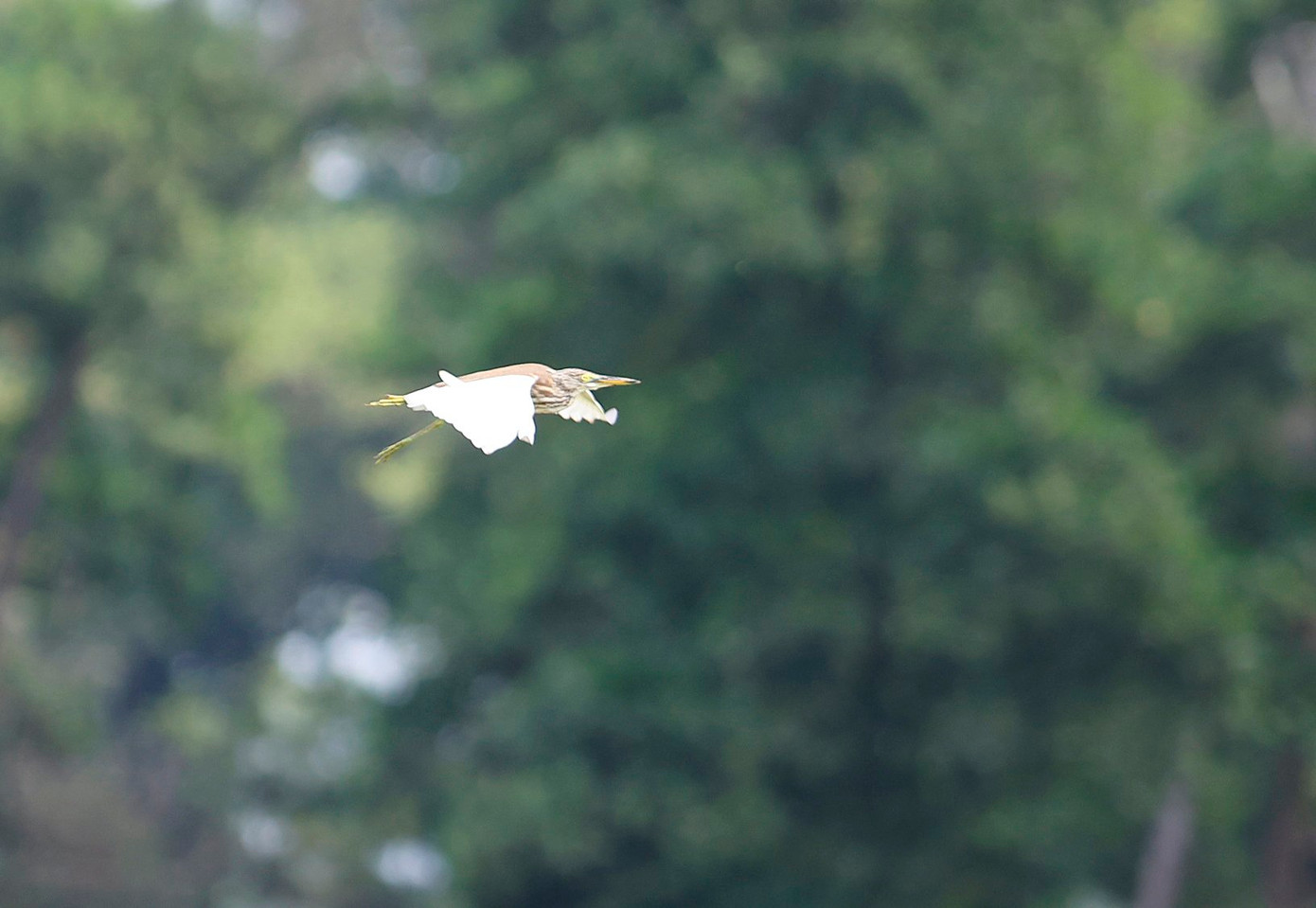 Hấp dẫn cuộc đua 'tam mã': Đoàn Uy, Phạm Nam, Đức Sơn ảnh 92 Hấp dẫn cuộc đua 'tam mã': Đoàn Uy, Phạm Nam, Đức Sơn ảnh 92