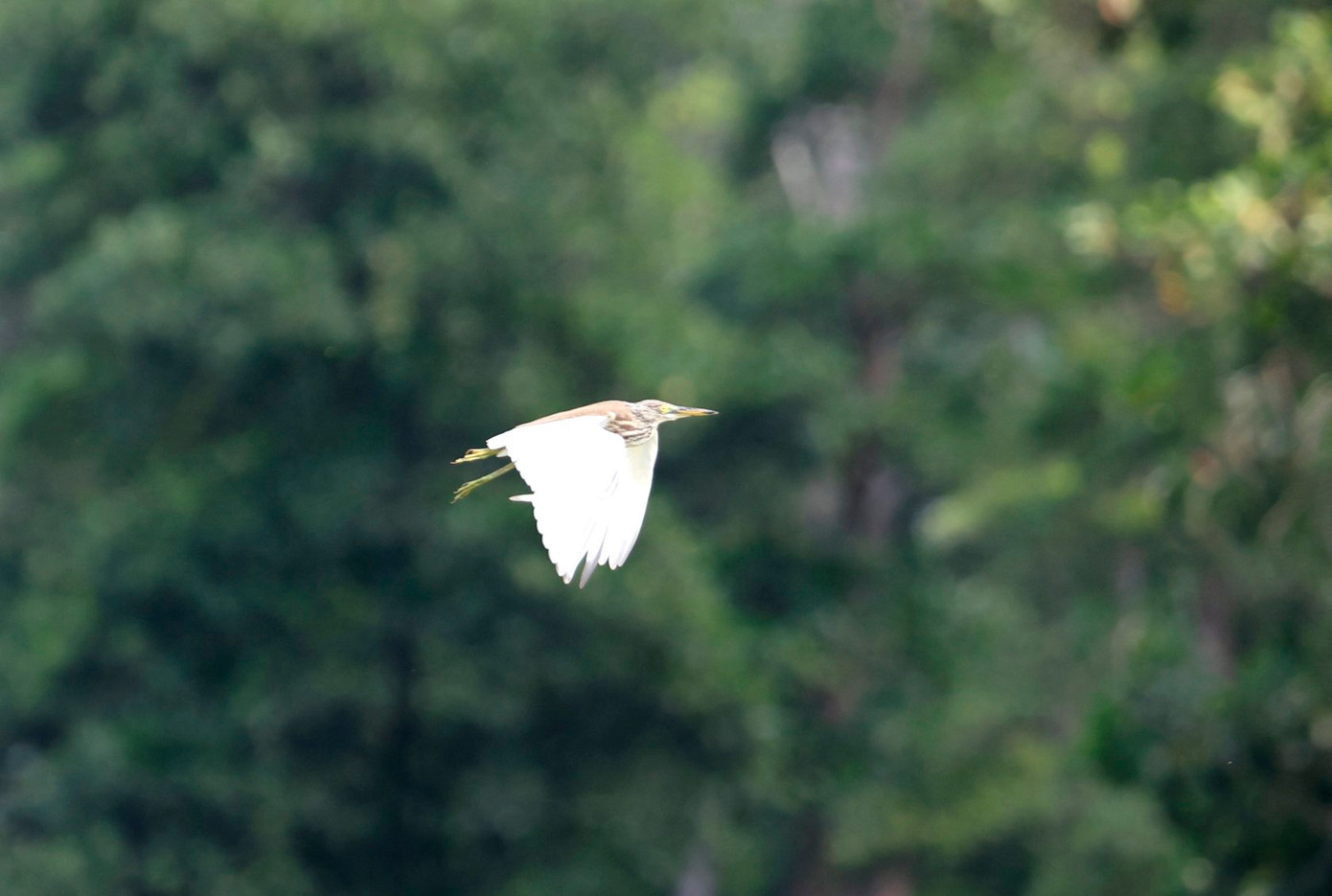 Hấp dẫn cuộc đua 'tam mã': Đoàn Uy, Phạm Nam, Đức Sơn ảnh 91 Hấp dẫn cuộc đua 'tam mã': Đoàn Uy, Phạm Nam, Đức Sơn ảnh 91