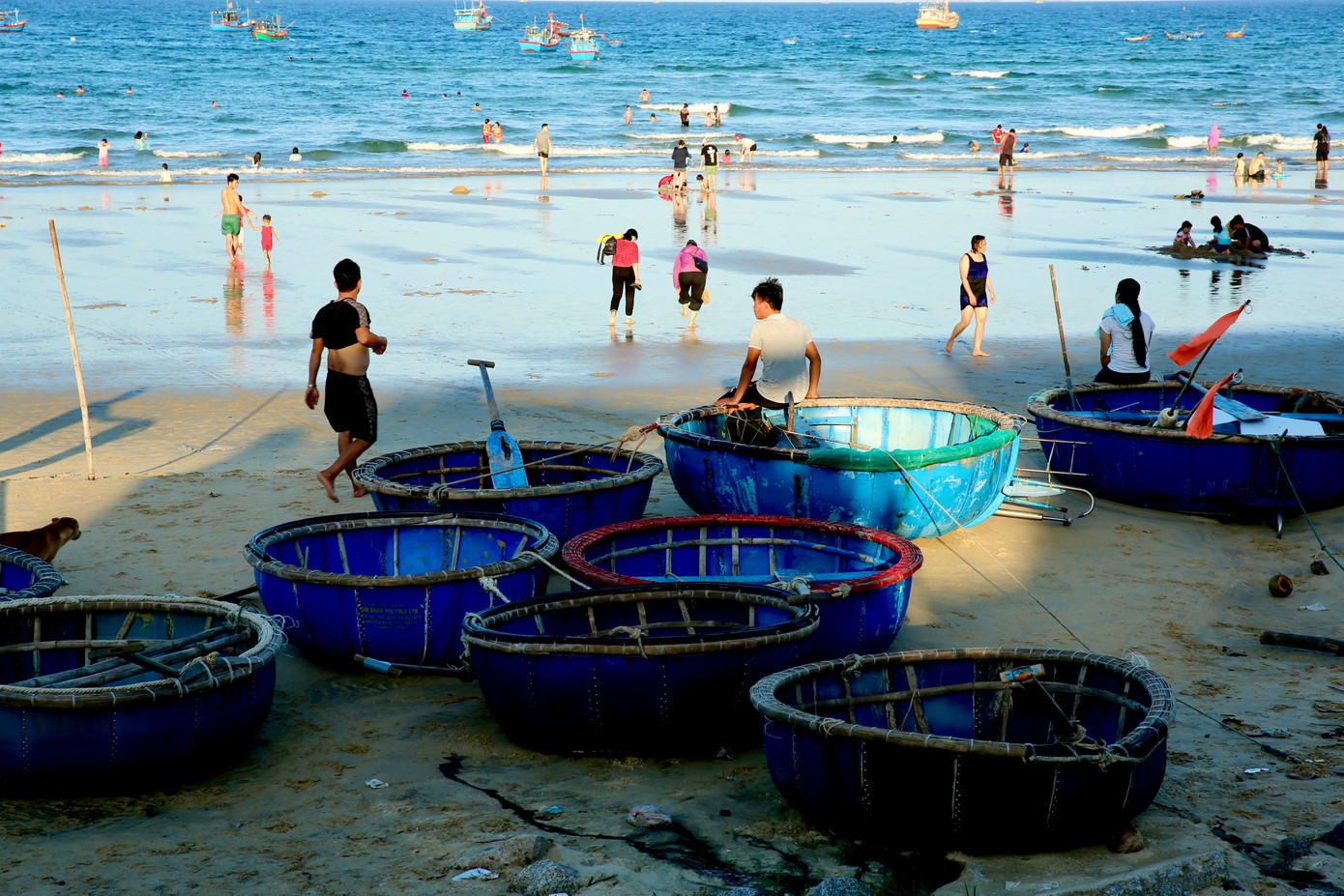 Những thuyền thúng xanh đỏ, điểm thêm sắc vàng của nắng tạo nên một khung cảnh cực kỳ thơ mộng khiến bạn chỉ muốn cầm ngay máy ảnh lên và chụp những khung hình đẹp nhất.