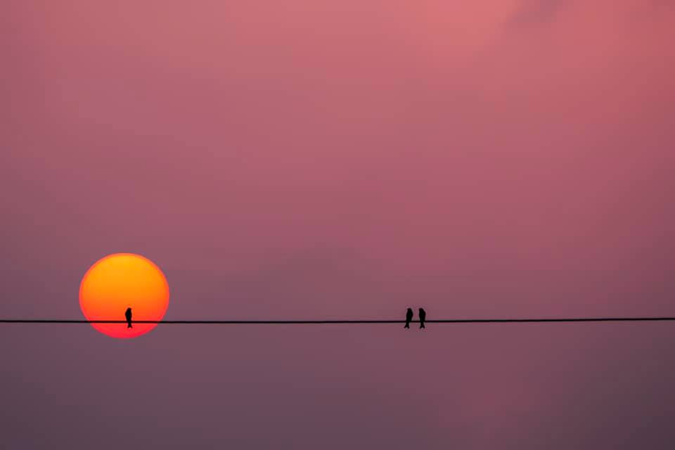 Xuýt xoa bộ ảnh chụp hoàng hôn đẹp như tranh vẽ của sinh viên ĐH Kinh Tế TP.HCM ảnh 4