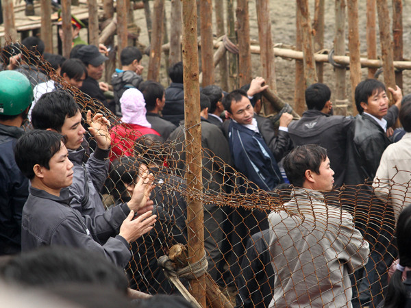 Nhiều lần hàng rào bị đạp đổ. Dựng lên rồi lại bị người xem giẫm đổ