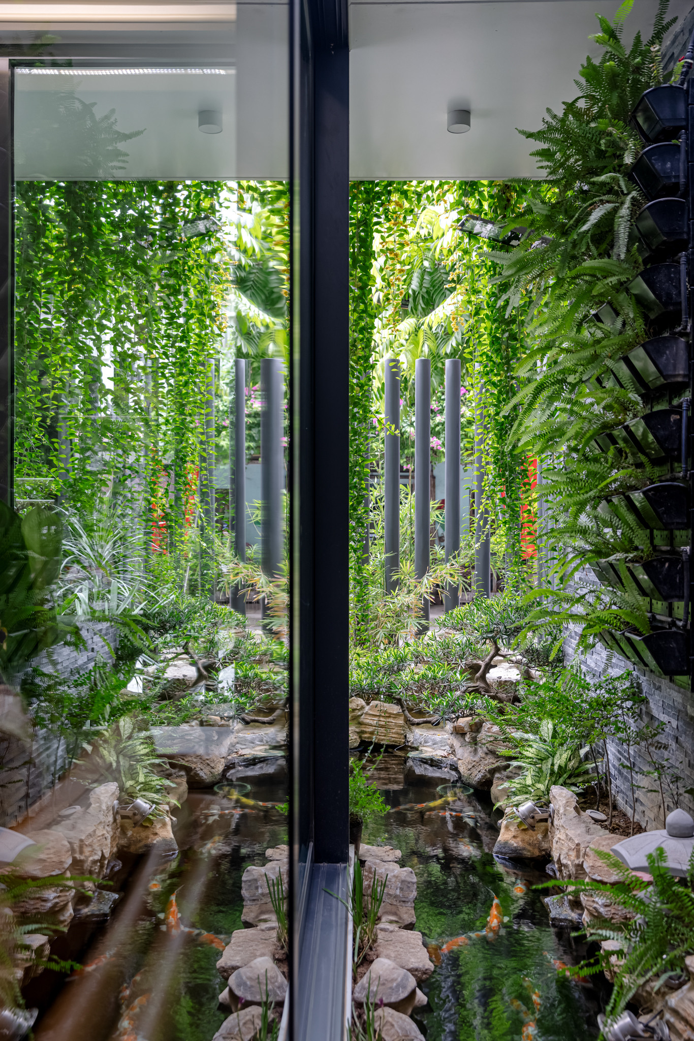 Hồ cá cũng là một phần của chiến lược điều chỉnh vi khí hậu trong nhà. Hồ cá cũng là một phần của chiến lược điều chỉnh vi khí hậu trong nhà.