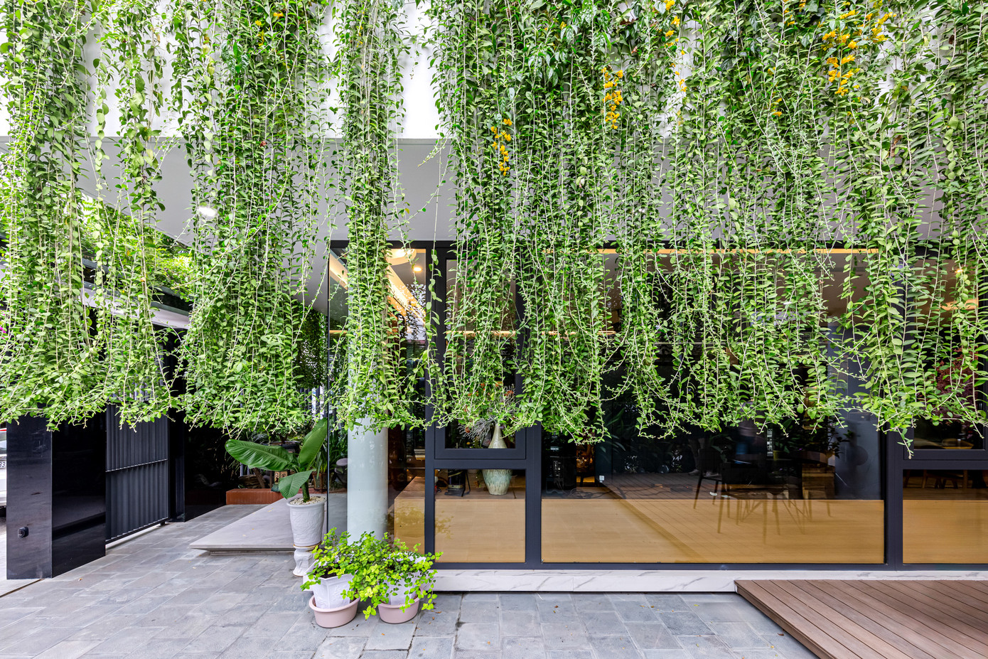 Chủ nhà làm việc trong lĩnh vực môi trường và cây xanh đã cho nhiều lời khuyên. Chủ nhà làm việc trong lĩnh vực môi trường và cây xanh đã cho nhiều lời khuyên.