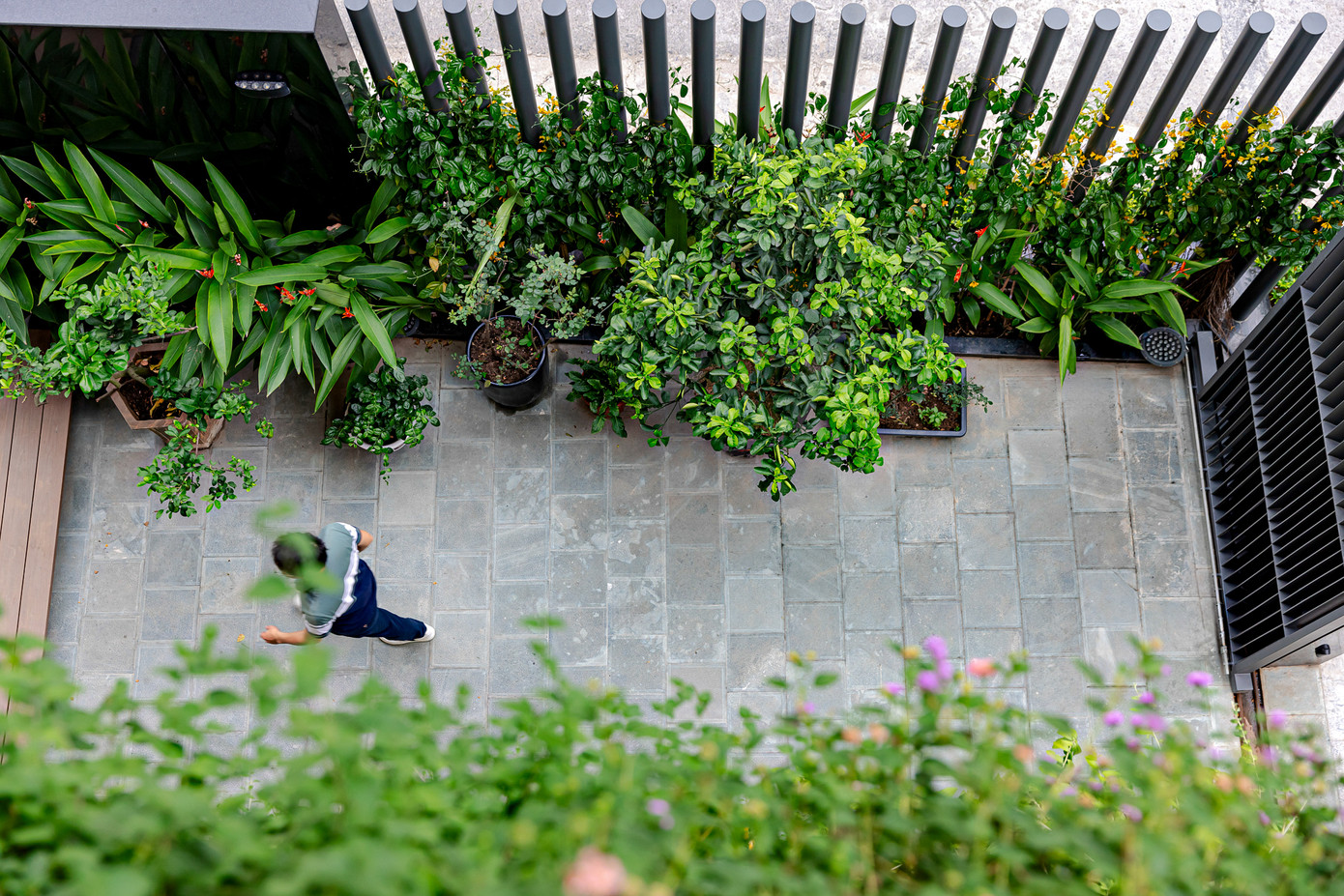 Nhiều loại cây được sử dụng để làm tầng tán. Nhiều loại cây được sử dụng để làm tầng tán.