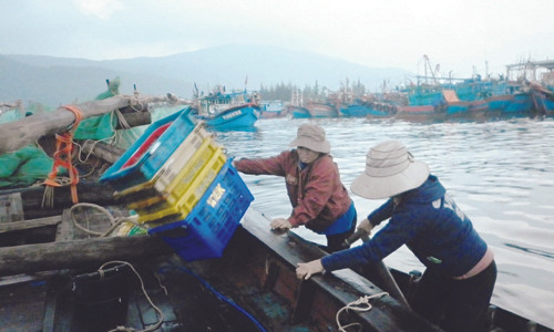 Thành quả sau chuyến biển. Thành quả sau chuyến biển