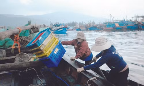 Thành quả sau chuyến biển