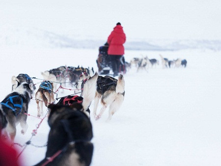 Ăn phở ở Hà Nội là 'trải nghiệm nên có trong đời' ảnh 8