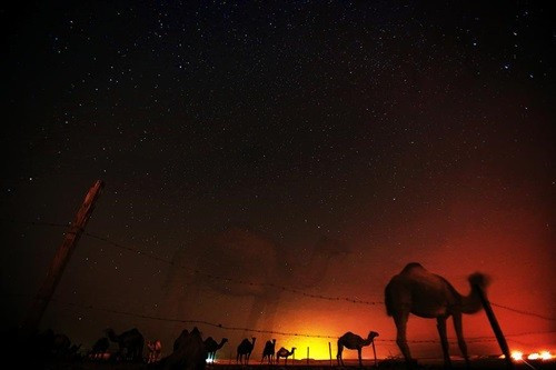 2. Kuwait Tỷ lệ tổng mức tiệt kiệm quốc gia trên GDP: 55% GDP dự đoán năm 2013: 186 tỷ USD