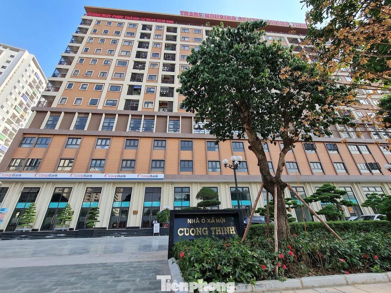 Khu nhà ở xã hội Cường Thịnh trên đường Lê Thái Tổ, phường Võ Cường (TP Bắc Ninh) của Công ty Cổ phần thương mại và Vận tải Cường Thịnh bị đình chỉ do không đảm bảo an toàn PCCC.