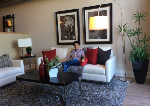 Ngắm căn hộ ở Mỹ do Đan Trường tự thiết kế ảnh 8