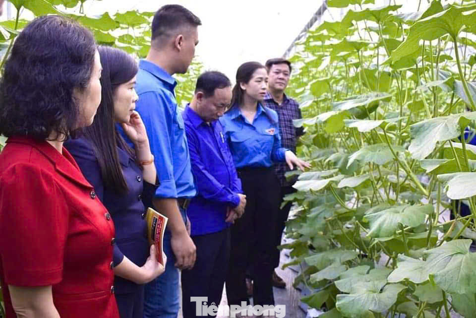 Đoàn viên thanh niên các tỉnh đến thăm mô hình sản xuất của Nguyễn Việt Lâm. Đoàn viên thanh niên các tỉnh đến thăm mô hình sản xuất của Nguyễn Việt Lâm.