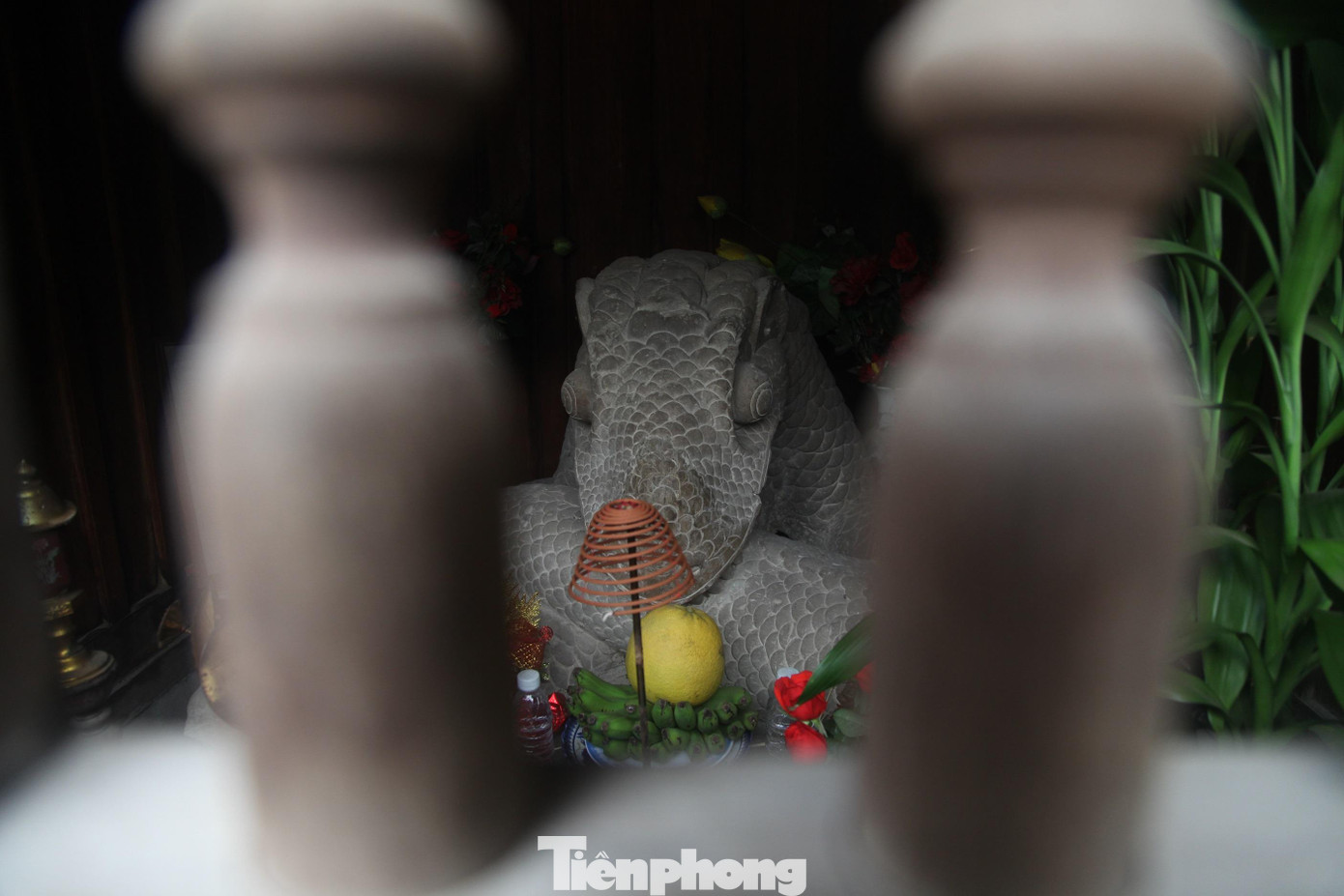 Đền còn bảo lưu được nhiều tài liệu, hiện vật phản ánh về cuộc đời, sự nghiệp Thái sư Lê Văn Thịnh, trong đó có pho tượng “rồng đá”-được cho là liên quan nỗi oan của Thái sư Lê Văn Thịnh vào đời vua Lý Nhân Tông. Rồng đá được nhân dân địa phương phát hiện vào năm 1991 trong quá trình tu sửa đền, ẩn dưới đám cây dại ngay lối lên đền thờ Thái sư Lê Văn Thịnh