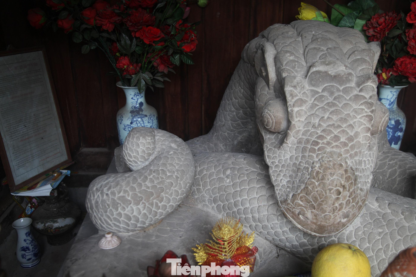 Năm 2009, khi xây dựng lại cổng chùa và đền Thái sư Lê Văn Thịnh, người dân địa phương tiếp tục phát hiện hai khúc thân khác của tượng rồng. Một mảnh thân còn nguyên vảy và một bàn chân có 5 vuốt sắc nhọn được làm bằng đá cát sa thạch giống như chất liệu của rồng đá được thờ trong đền.