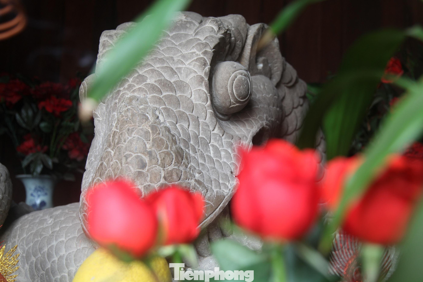 Rồng đá là bức thông điệp của tiền nhân gửi lại cho hậu thế về nỗi oan mà Thái sư Lê Văn Thịnh đã phải chịu trong vụ án Hồ Dâm Đàm vào đời vua Lý Nhân Tông (1096)