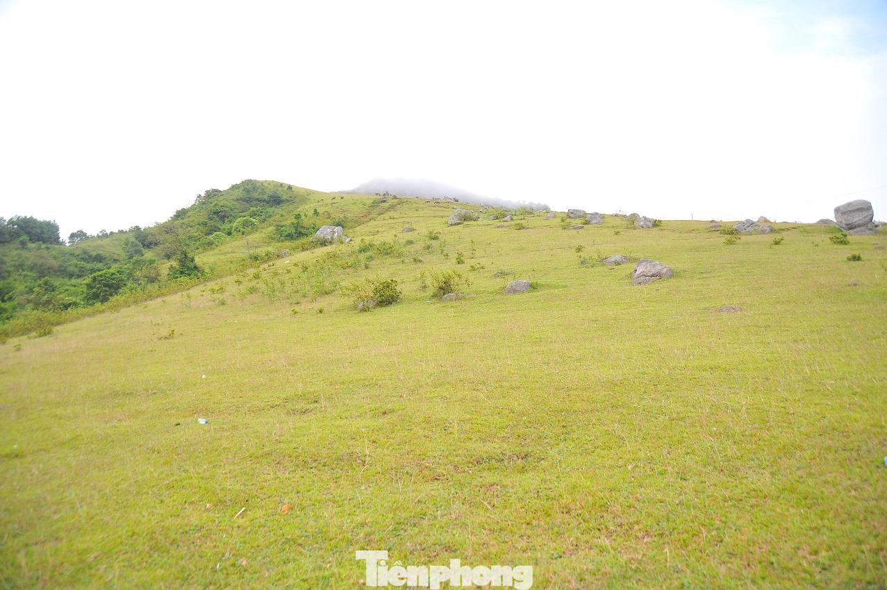 Đồng cỏ rộng lớn ở Đồng Cao thích hợp cắm trại nghỉ qua đêm Đồng cỏ rộng lớn ở Đồng Cao thích hợp cắm trại nghỉ qua đêm