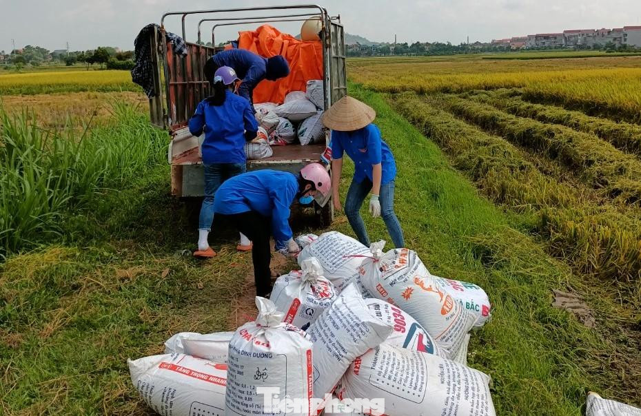 Thanh niên tình nguyện tỉnh Bắc Giang chở thóc về cho người dân bị cách ly Thanh niên tình nguyện tỉnh Bắc Giang chở thóc về cho người dân bị cách ly