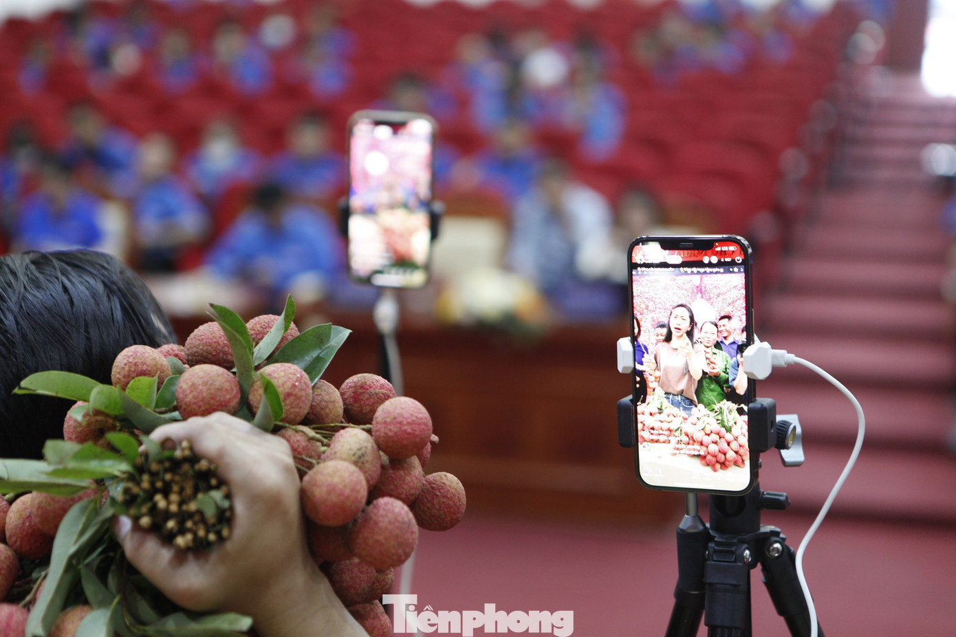 Thanh niên nông thôn trải nghiệm bán vải thiều bằng TikTok. Ảnh: Nguyễn Thắng. Thanh niên nông thôn trải nghiệm bán vải thiều bằng TikTok. Ảnh: Nguyễn Thắng.