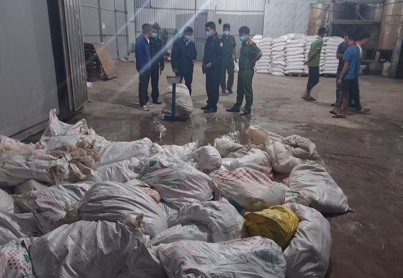 Cơ quan chức năng tỉnh Bắc Ninh phát hiện hơn 7 tấn lòng lợn bốc mùi hôi thối