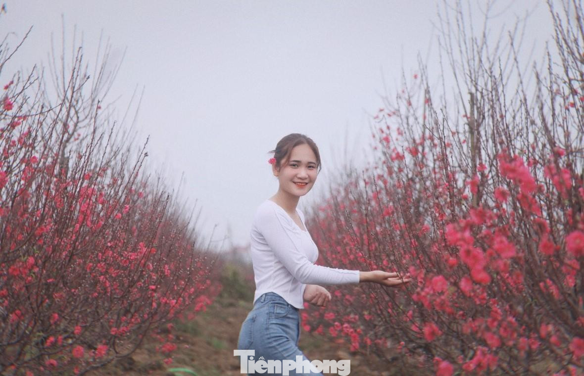 Dịp này, các bạn trẻ cũng hào hứng chụp ảnh tại làng đào Cẩm Hoàng