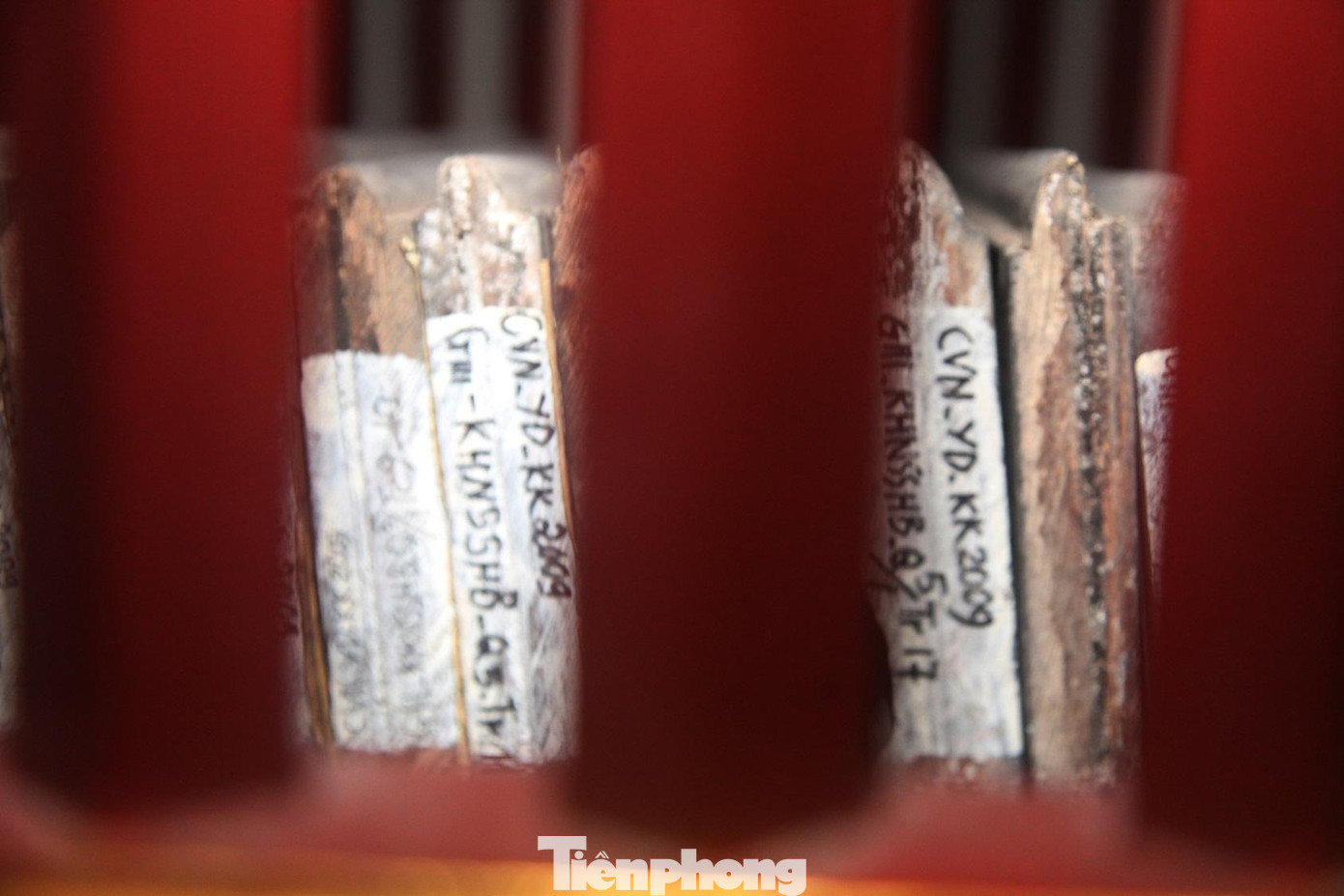 Một số loại kinh, sách chính trong kho mộc bản chùa Vĩnh Nghiêm như: Kinh Phật có hai bộ là Đại phương quảng Phật Hoa nghiêm kinh (cả phần kinh và phần chú giải) và A Di Đà kinh. Đây là 2 bộ kinh chủ yếu dùng trong Thiền phái Trúc Lâm Yên Tử. Về luật giới Phật có Đại thừa chỉ quán, Tỳ khâu ni giới, Sa di ni giới kinh. Ba quyển này là giới luật tu và thiền cho các tăng ni của thiền phái Trúc Lâm Yên Tử.