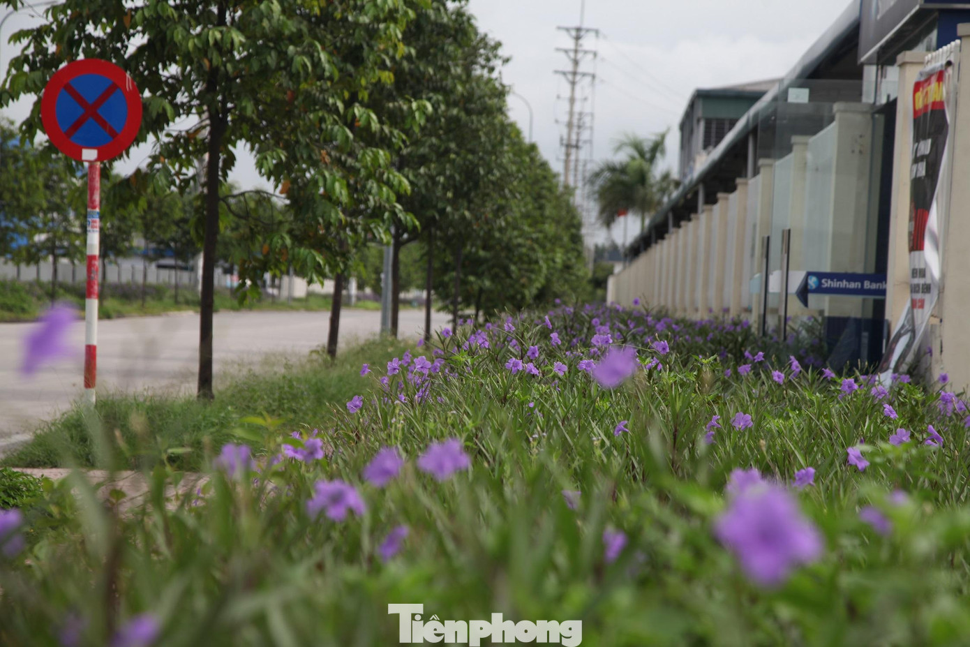 Bên trong KCN Vân Trung cũng vắng bóng công nhân Bên trong KCN Vân Trung cũng vắng bóng công nhân