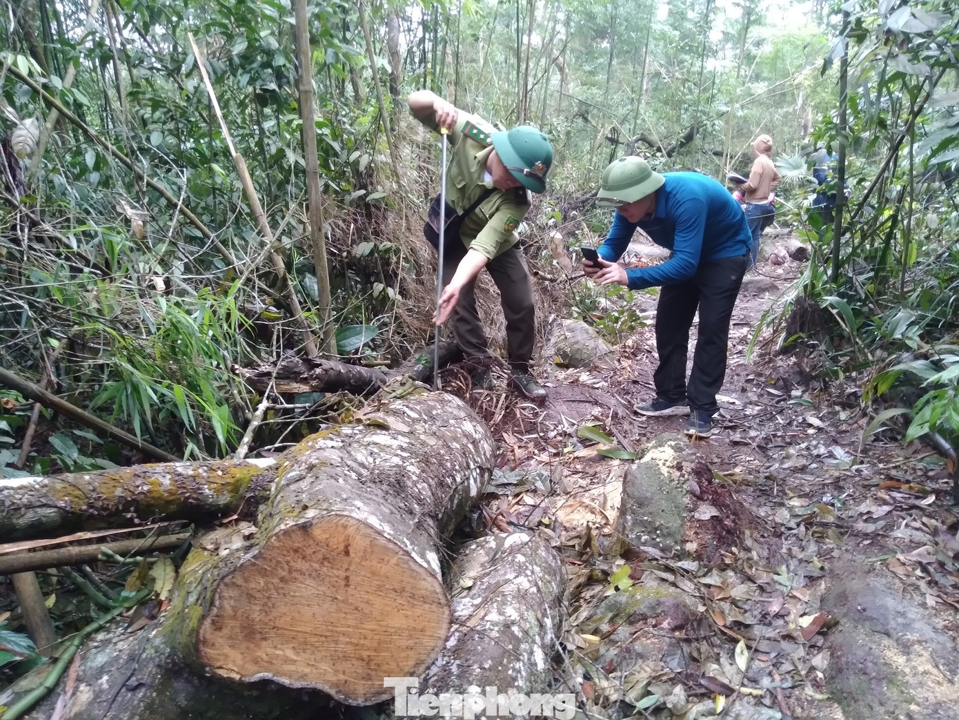 Lãnh đạo Công an huyện Sơn Động cho biết, Công an huyện Sơn Động sẽ phối hợp và thông tin kết quả điều tra vụ việc đến báo Tiền Phong.