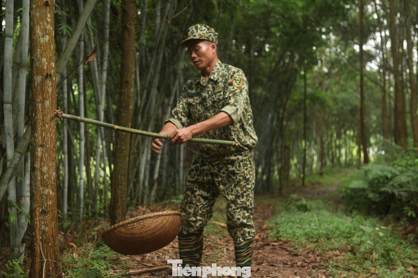 Để săn trứng kiến, các thợ săn phải vào sâu trong rừng hàng chục km. Có chuyến đi, thợ săn phải đi cả ngày mới đến nơi.