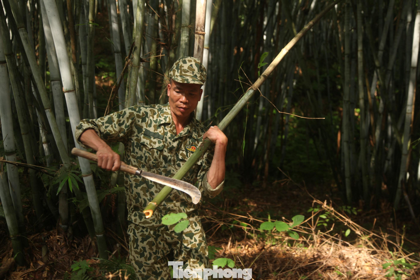 Từ đầu tháng 3 Âm lịch, các thợ săn ở tỉnh Bắc Giang bắt đầu vào mùa săn trứng kiến. Trong ảnh: Anh Khổng Minh Sơn ở huyện Yên Thế đang chuẩn bị đồ nghề để vào rừng săn trứng.