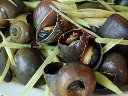 4 món ngon từ ốc đổi vị ngày dịu mát ảnh 1