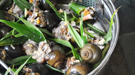 4 món ngon từ ốc đổi vị ngày dịu mát ảnh 2