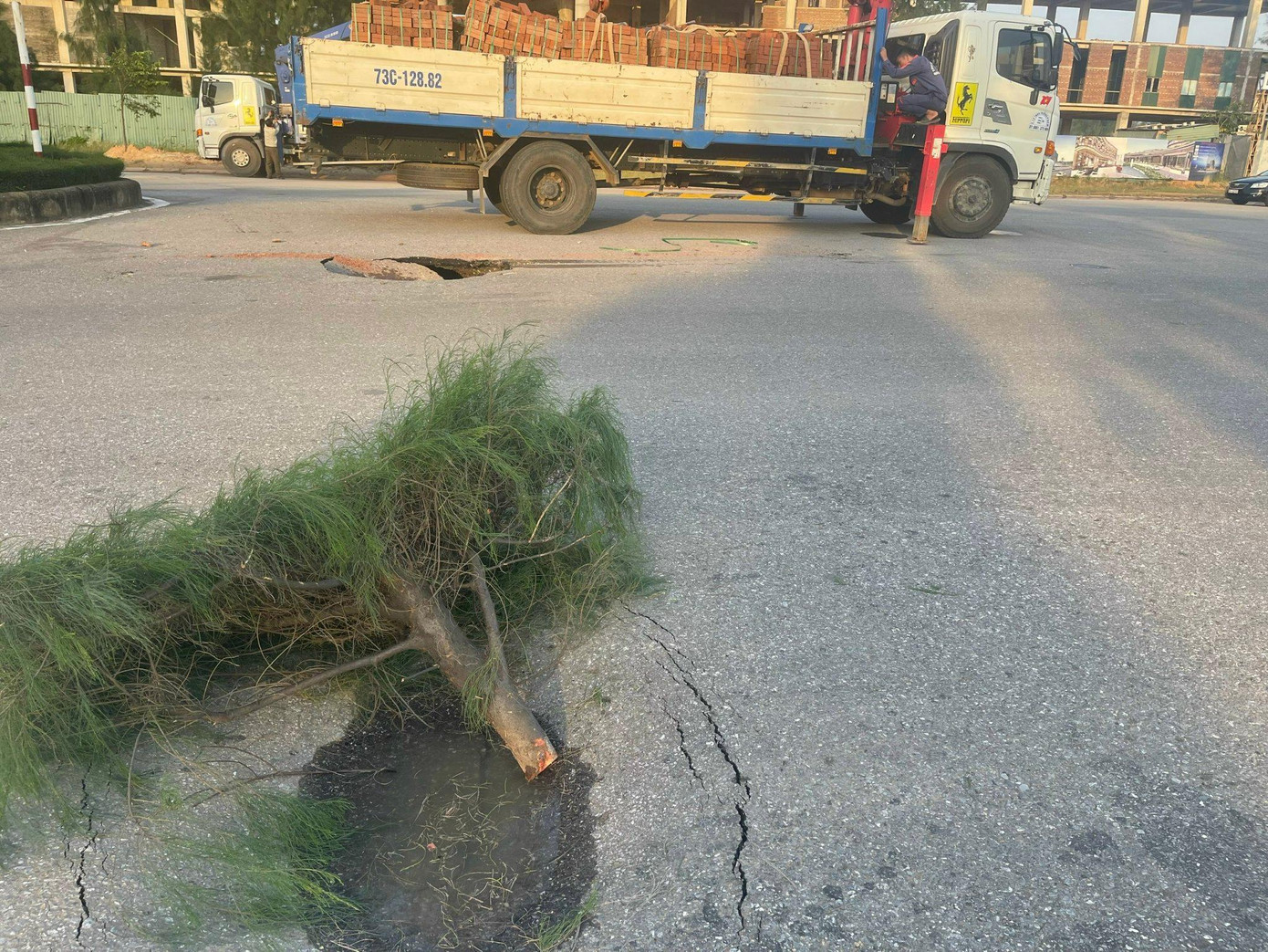 Người dân chặt cây để vào vị trí sụt lún để cảnh báo nguy hiểm Người dân chặt cây để vào vị trí sụt lún để cảnh báo nguy hiểm