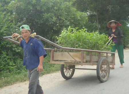 Giật mình với những 'tỷ phú' chân đất làm giàu nhờ gió trầm ảnh 6
