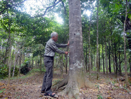Giật mình với những 'tỷ phú' chân đất làm giàu nhờ gió trầm ảnh 1