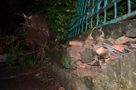 Cây cổ thụ bật gốc, xô đổ tường rào Thảo Cầm Viên Sài Gòn ảnh 9