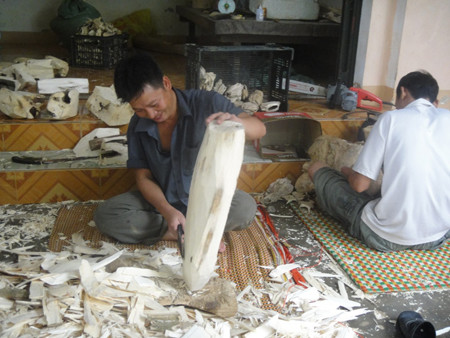 Giật mình với những 'tỷ phú' chân đất làm giàu nhờ gió trầm ảnh 3